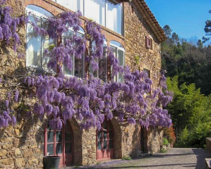 Chambre D'Hote Mas D'Alzon A St Jean Du Pin La Barriére Exterior foto
